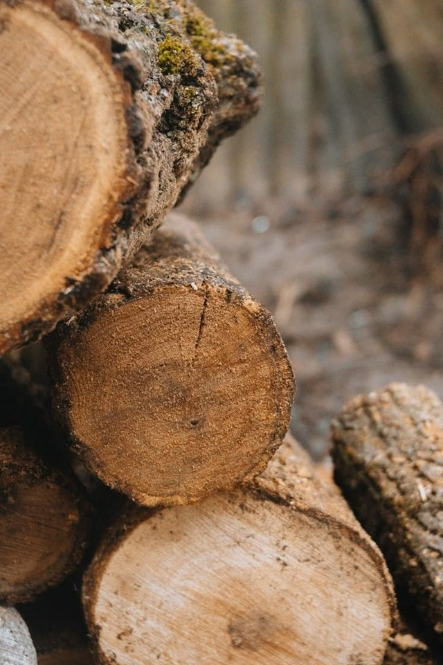 Why Custom Wood Furniture Starts Before the First Cut